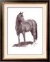 Calypso Pony by Lorrie Beck Limited Edition Pricing Art Print