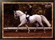 Dressage by Sara Stafford Limited Edition Print