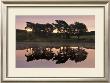 Trees In Reflection I by Robert Strachan Limited Edition Pricing Art Print