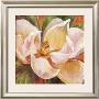 Magnolia Glow I by Liv Carson Limited Edition Pricing Art Print