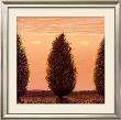 Three Trees, Two Clouds by John Beerman Limited Edition Print