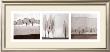 Leaf Landscape Triptych by Steven N. Meyers Limited Edition Pricing Art Print