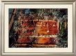 Sechage De Dattes by Yann Arthus-Bertrand Limited Edition Print