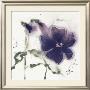 Pansies V by Marthe Limited Edition Pricing Art Print