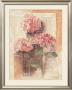 Rose Hydrangea by Anna Gardner Limited Edition Pricing Art Print