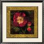 Red Camellias I by John Seba Limited Edition Print