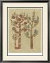 Linen Trees Ii by Chariklia Zarris Limited Edition Print