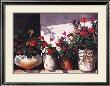 Pots Of Geraniums by Lois Brezinski Limited Edition Print