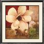 Magnolia Collage by T. C. Chiu Limited Edition Print
