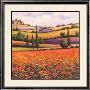 Fields Of Poppies I by T. C. Chiu Limited Edition Pricing Art Print