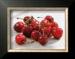 Morello Cherries Ii by Sara Deluca Limited Edition Pricing Art Print