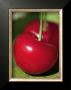 Bigarreau Cherries I by Sara Deluca Limited Edition Pricing Art Print