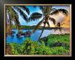 Where Da Coconuts Grow by Randy Jay Braun Limited Edition Pricing Art Print