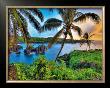 Where Da Coconuts Grow by Randy Jay Braun Limited Edition Print