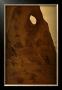 Southwest Desert by Jim Tunell Limited Edition Print