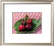 Morello Cherries I by Sara Deluca Limited Edition Pricing Art Print