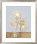 Gorgeous Lunaria Iv by Sara Deluca Limited Edition Pricing Art Print