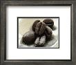 Coffee Beans by Sara Deluca Limited Edition Print