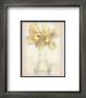 Lovely Tulip by Donna Geissler Limited Edition Print