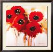 Crimson Poppies Ii by Natasha Barnes Limited Edition Pricing Art Print