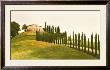 Tuscan Hills by Jim Chamberlain Limited Edition Pricing Art Print