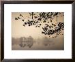 Morning Mist by Jan Tove Limited Edition Print