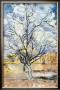 An Orchard by Vincent Van Gogh Limited Edition Print