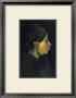 Peasant Woman by Vincent Van Gogh Limited Edition Print