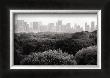 Central Park, New York City I by Bill Perlmutter Limited Edition Print