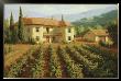 Tuscan Vineyard by Roger Williams Limited Edition Print