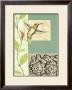 Tranquil Hummingbird I by Jennifer Goldberger Limited Edition Print