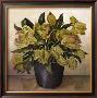 Parrot Tulips In Florist Vase by Galley Limited Edition Print