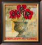Rojo Botanical Vi by Dennis Carney Limited Edition Print