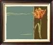 Parrot Tulip Ii by Jennifer Goldberger Limited Edition Pricing Art Print