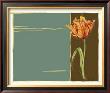 Parrot Tulip Ii by Jennifer Goldberger Limited Edition Print