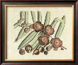 Botanical I by Van Rheet Limited Edition Print