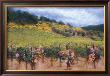 Tuscan Vineyard by Phyllis Rowley Limited Edition Pricing Art Print