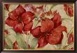 Amaryllis Shimmer by Julia Hawkins Limited Edition Print