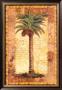 Classic Palm I by Kathleen Denis Limited Edition Print