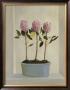 Protea Stand by Hampton Hall Limited Edition Pricing Art Print