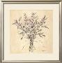 Scent Of Sage by Telander Limited Edition Print