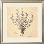 Scent Of Thyme by Telander Limited Edition Print