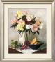 Peach Peonies And Irises by Joe Anna Arnett Limited Edition Print