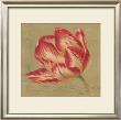 Red Flower by Marie Perpinan Limited Edition Pricing Art Print