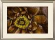 Floral Illusion I by Jennifer Goldberger Limited Edition Print