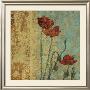 Poppy Pattern I by Eloise Ball Limited Edition Print