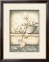 Tranquil Magnolia by Tina Chaden Limited Edition Pricing Art Print