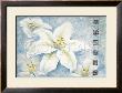Silver Lily by Claudia Ancilotti Limited Edition Pricing Art Print