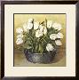 White Tulips by Galley Limited Edition Pricing Art Print
