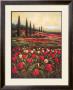 Tulip Field I by Pate Limited Edition Pricing Art Print